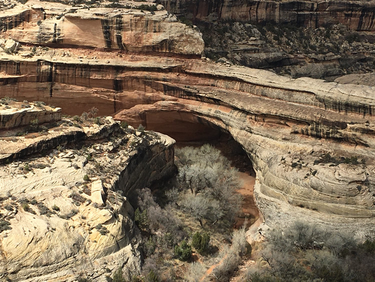 Natural Bridges National Monument